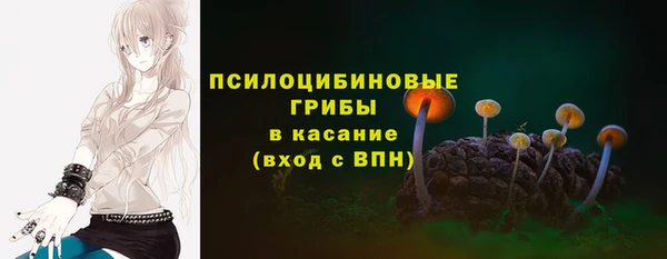 каннабис Богданович